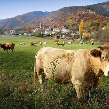 Gite La Taniere Des Alpes Bayons Dış mekan fotoğraf
