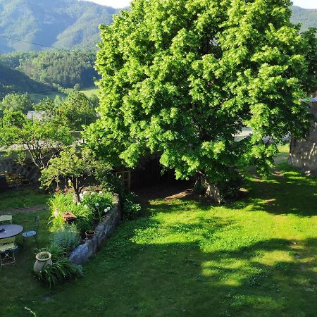 Gite La Taniere Des Alpes Bayons Dış mekan fotoğraf
