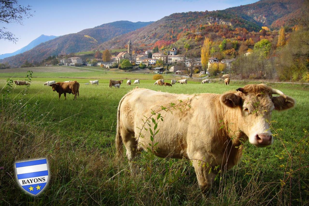 Gite La Taniere Des Alpes Bayons Dış mekan fotoğraf
